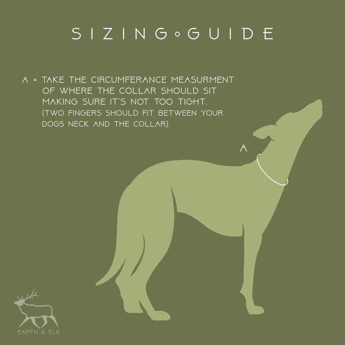 A U T U M N ∘ L E A V E S ∘ B I O T H A N E ∘ F I S H T A I L ∘ C O L L A R