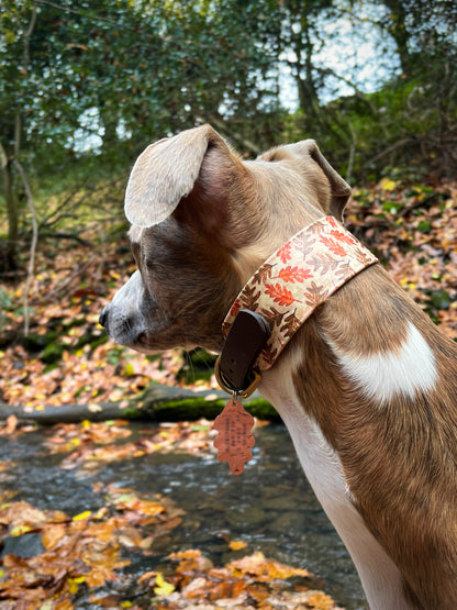 A U T U M N ∘ L E A V E S ∘ B I O T H A N E ∘ F I S H T A I L ∘ C O L L A R