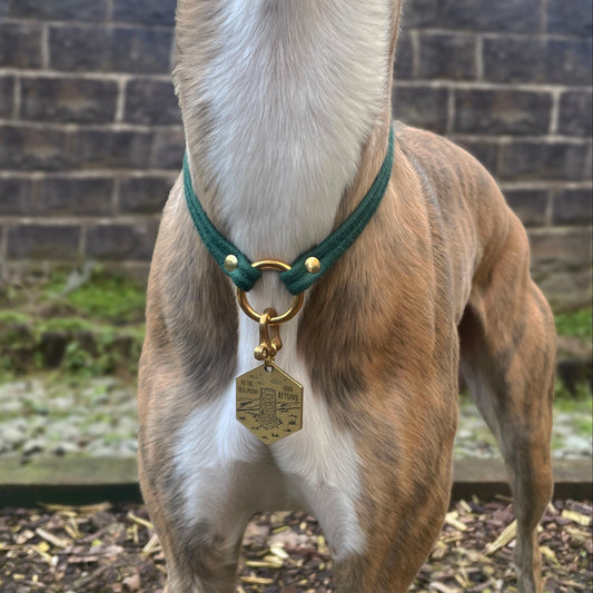 D O U B L E ∘ P I P E D ∘ I D ∘ C O L L A R