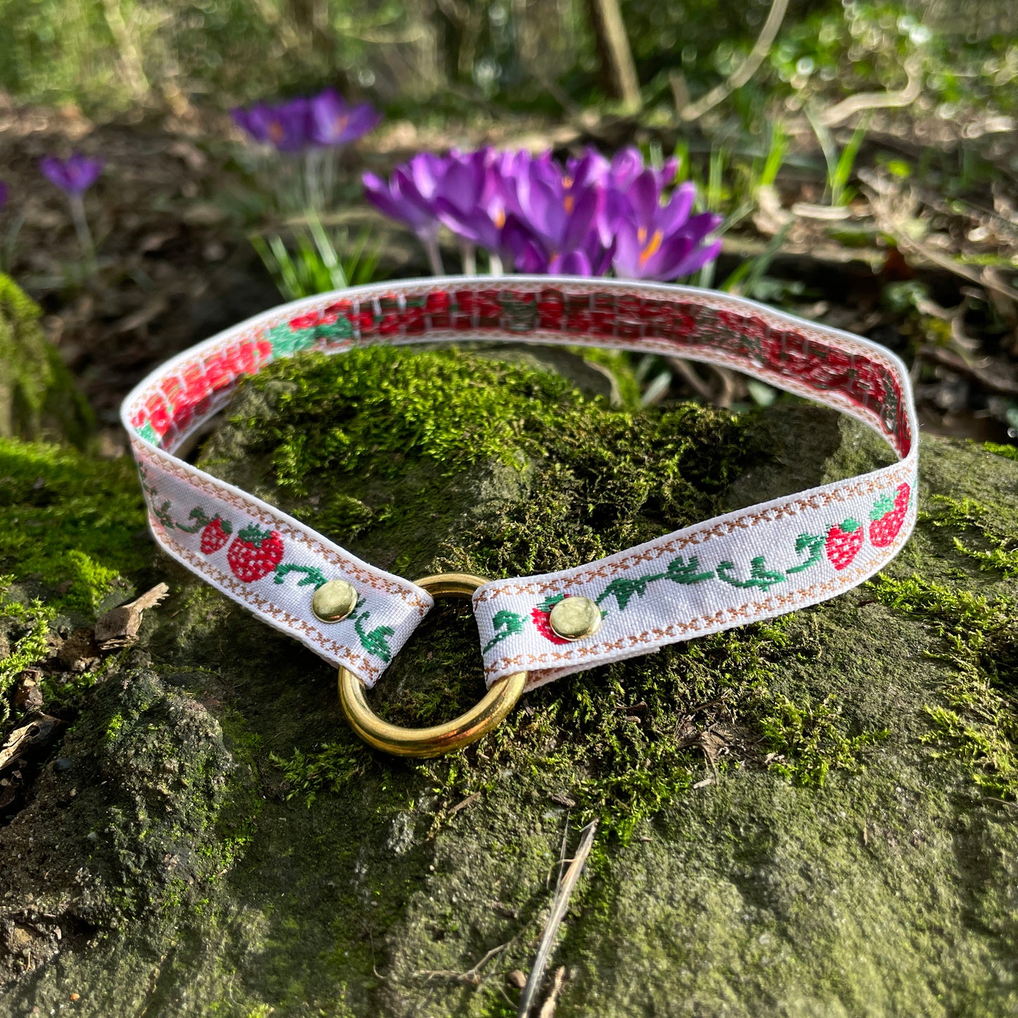 S T R A W B E R R Y ∘ E M B R O I D E R E D ∘ I D ∘ C O L L A R