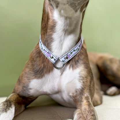 S T R A W B E R R Y ∘ E M B R O I D E R E D ∘ I D ∘ C O L L A R